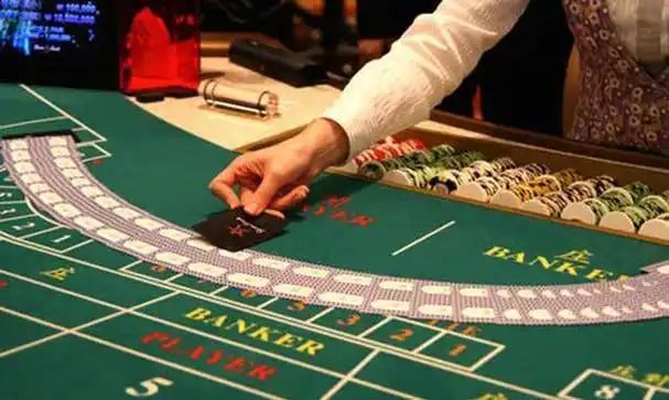 sh800bet